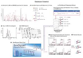 SimGlycan 5 Crackeado